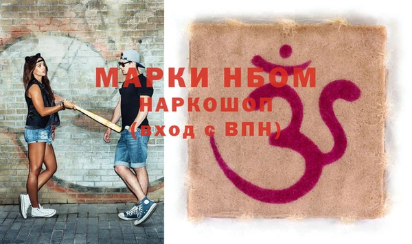 гашик Майский