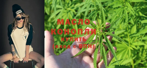 гашик Майский